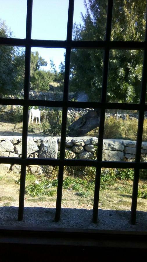 Affittacamere La Luciérnaga Sorihuela Esterno foto